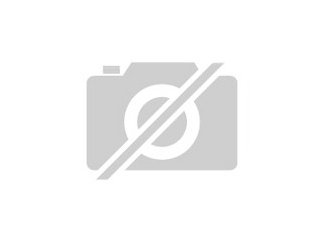 Suche Offenstall Nähe Gemünden am Main